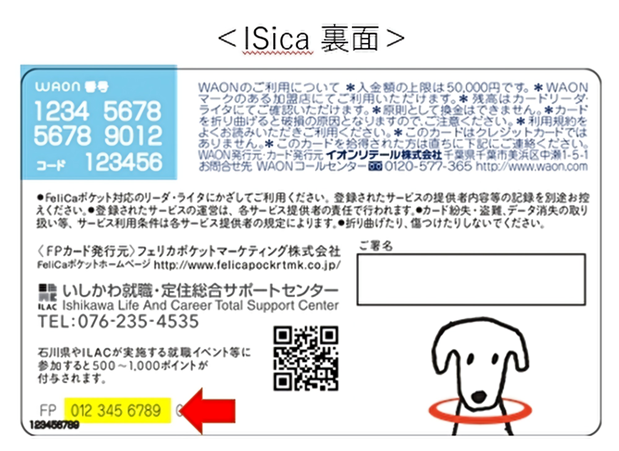 ISica裏面